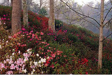 《桑塔》GBA卡带芯片脏污 厂商澄清表示不影响使用